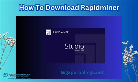 RapidMiner 2025 Free Full Download
