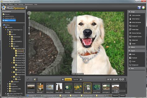 Ashampoo Photo Optimizer 10.0.7