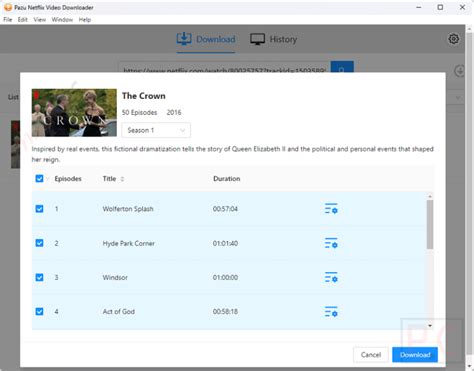 Pazu Netflix Video Downloader